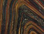 Banded Tiger Iron Stromatolite - Free-Standing Piece #64778-3